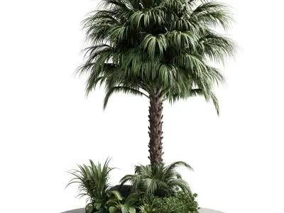 Palm garden - Outdoor plant Collection 138 Low-poly 3D model