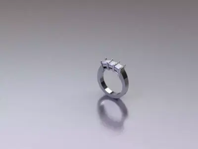 4 MM PRINCESS  3D model