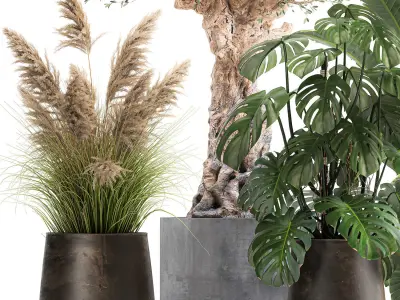 Ornamental plants for landscape design 1060 3D model