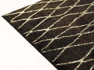 restoration hardware Talaa rug 3D model