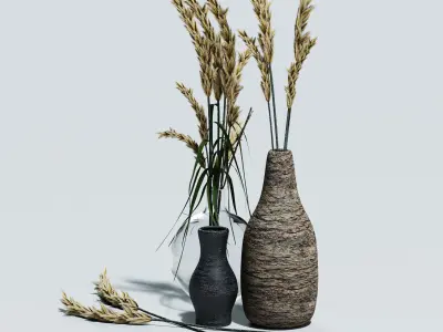 dried flowers in vase 3D model