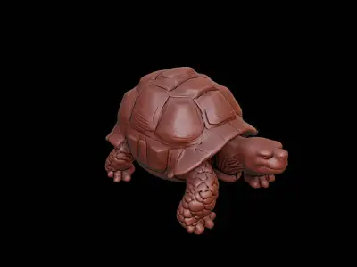 Tortoise Animal Sculpture 3D print model buy