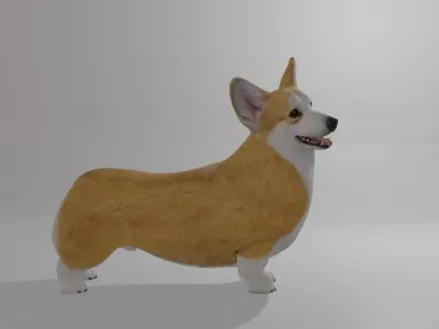Welshcorgi corgi 3D model