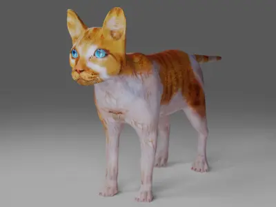 Calico Cat NO Rigged  V2 in Blender Low-poly 3D model