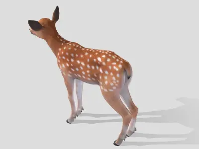 Deer - Calf Low-poly 3D model