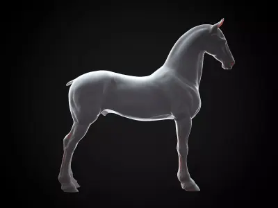 Horse Friesian - TPose 3D model