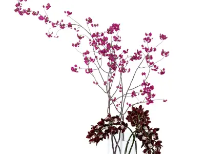 Cymbidium orchid and cherry branches 3D model