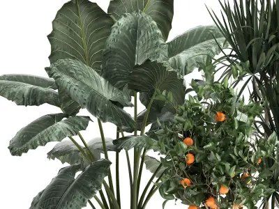 Houseplants in a  flowerpot for the interior 1002 3D model