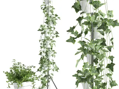 Porcelain vase system for hydroponic cultivation 3D model