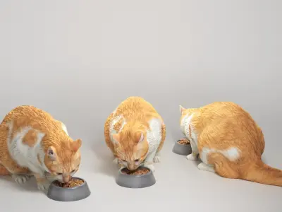 Cat eating food 12 Low-poly 3D model