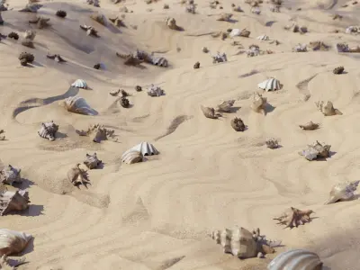 Sea shells collection Vol 1 Low-poly 3D model