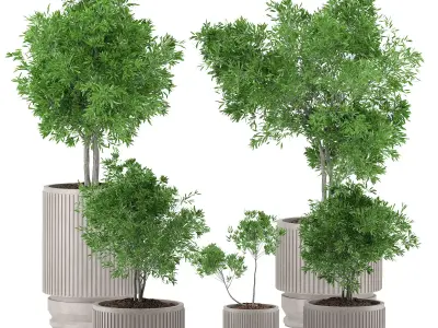 indoor plants 22 3D model