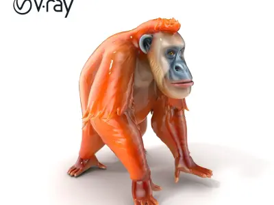 Orangutan Serenity Model Pack Low-poly 3D model