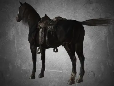 Horse - Pack 02 - 6 MODEL 3D model