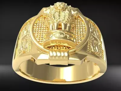 Indian Ashoka Ring  US RING SIZE 11 3D print model