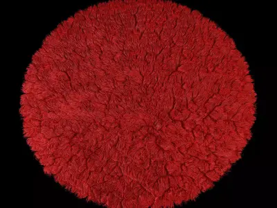 Carpet seven color 3D model