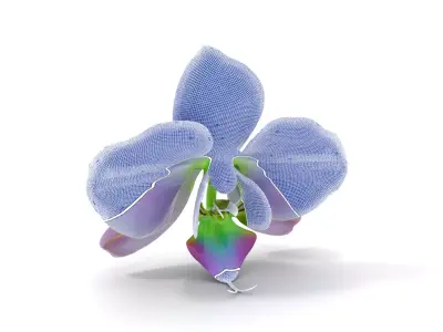 Iridescent Orchid Bloom model pack Low-poly 3D model