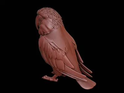 Parrot Animal Sculpture 3D print model buy