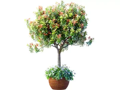 Decorative tree with a flowerbed in rattan garden pot flowerpot 3D model
