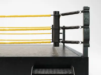 Wrestling Ring REGULATION SIZE 3D model