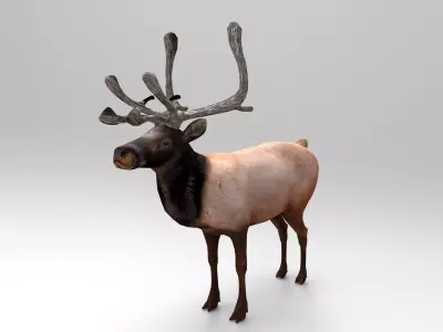 Reindeer Rigged  Low-poly 3D model purchase