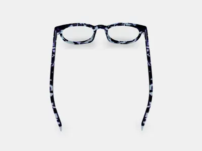 Sadie Eyeglasses in Riverbed Tortoise 3D model