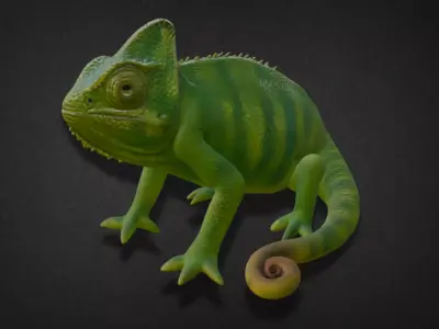 Realistic Chameleon Model 3D model