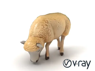 Fluffy Grazing Sheep model pack Low-poly 3D model