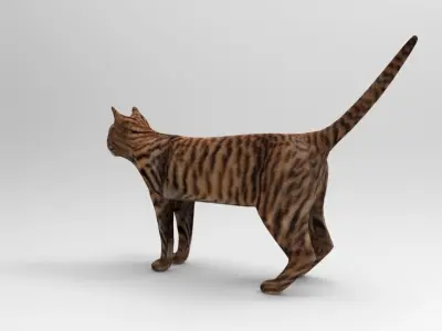 3d Wild Cat model  Low-poly 3D model