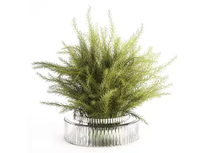 Floral green bouquet Asparagus branches glass vase 611 3D model