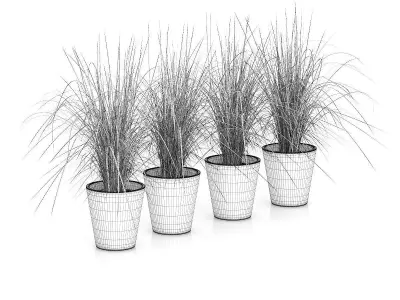 Four Plants in White Pots 3D model