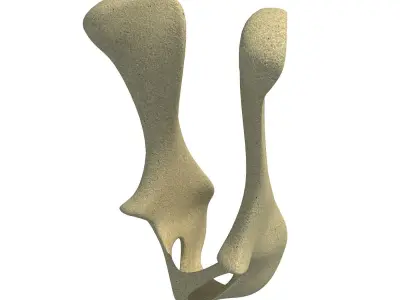 Animal Pelvis 3D model