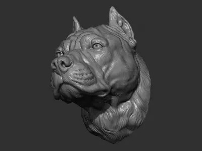 Pitbull gloomy head 3D print model