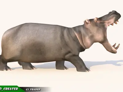 Lowpoly Hippopotamus Animated 3D model Low-poly 3D model