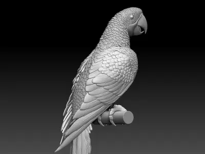 parrot perched on branch 3D print model