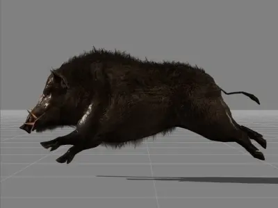 piggy Boar v1 Low-poly 3D model