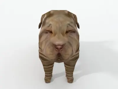 Shar Pei Low-poly 3D model