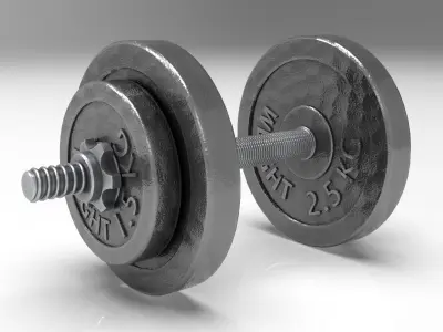 Dumbbell pair of dumbbells 3D model