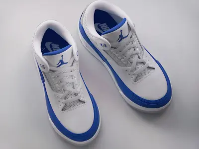 Sneaker Nike Air Jordan 3 3D model