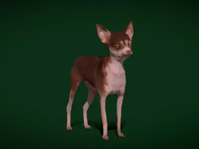 Russian Toy Terrier Dog Breed Low-poly 3D model
