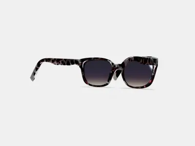 Aubrey Sunglasses in Garnet Tortoise 3D model