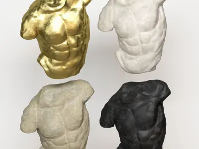 Male Torso Decor Set 25  3D model