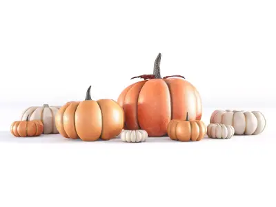 Pumpkins 3D model