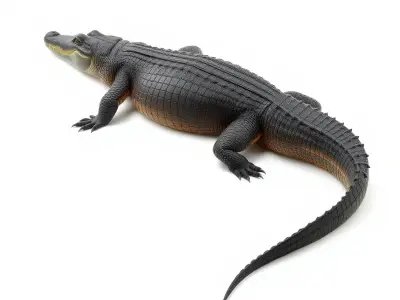 Nile Crocodile Detailed Scale Model Pack Low-poly 3D model