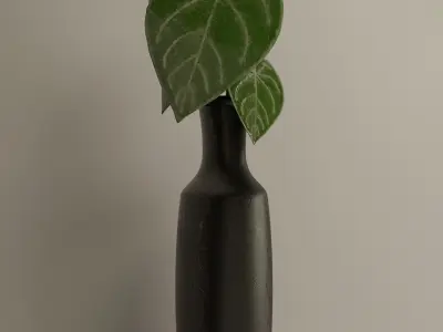 Marble Vase Set 3D Model Collection
