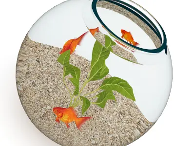 Small Spherical Aquarium 3D model