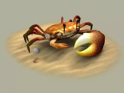 Fiddler crabs Hai River crabs hairy crabs shells oceans 3D model