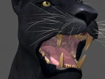 Panther no Fur - 3d model 3D model
