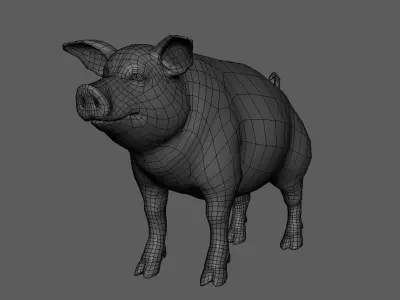 Pig BaseMesh Low-poly 3D model