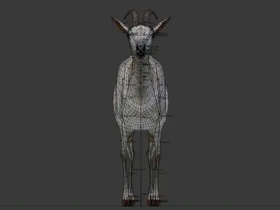 Saanen goat Low-poly 3D model